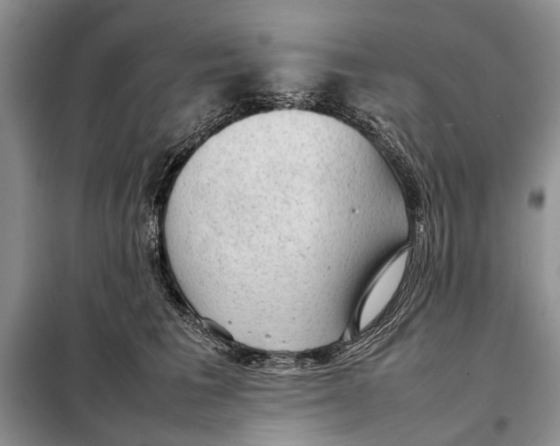 X0000098020613200804181204
