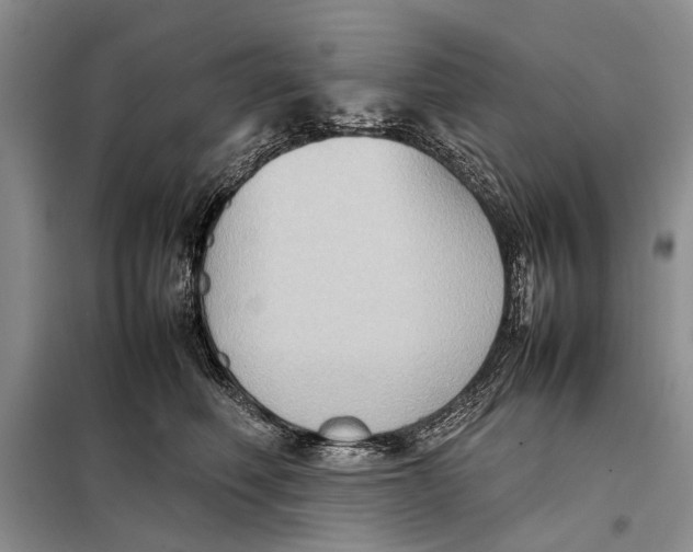 X0000098020614200804181204
