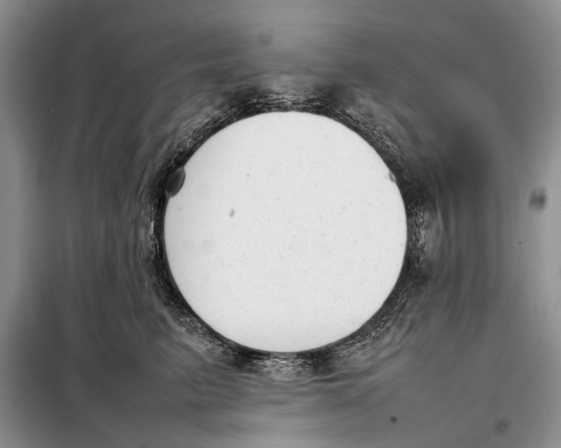 X0000098020615200804181204
