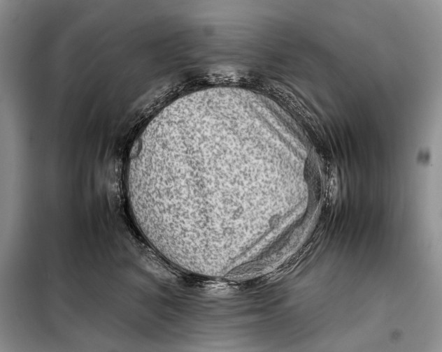 X0000098020616200804181204