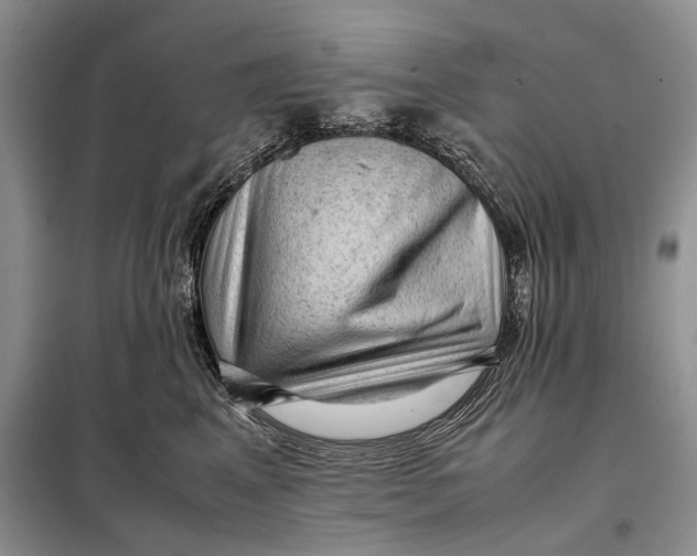 X0000098020617200804181204