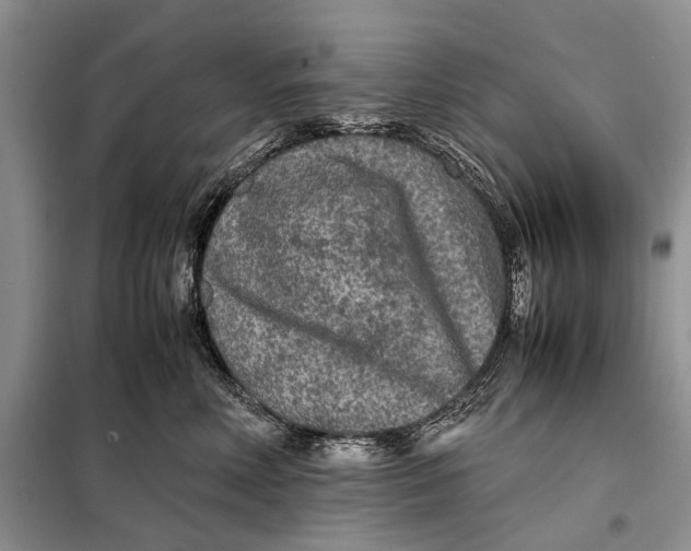 X0000098020618200804181204