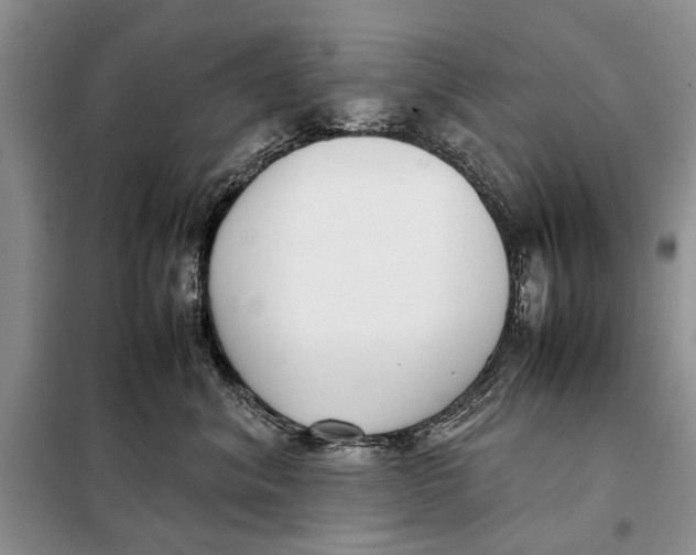 X0000098020620200804181204