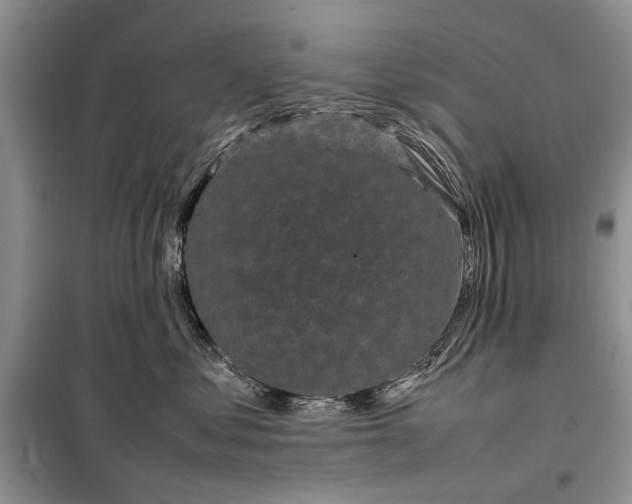 X0000098020621200804181204