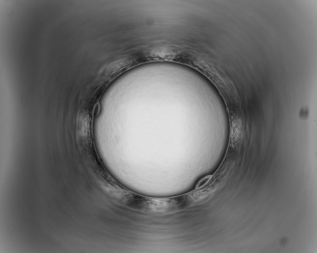 X0000098020623200804181204