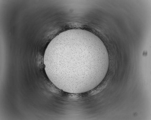 X0000098020624200804181204