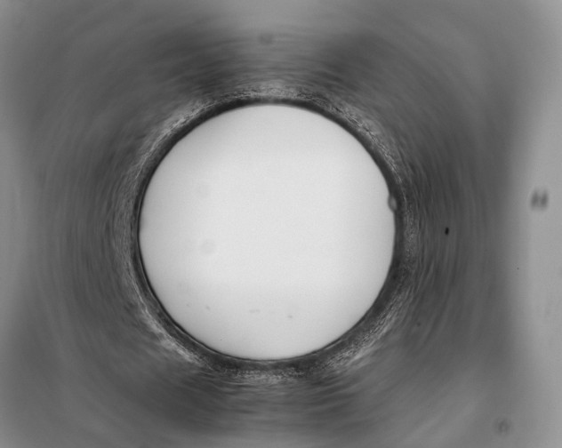 X0000098020625200804181203