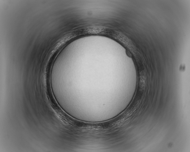 X0000098020626200804181203