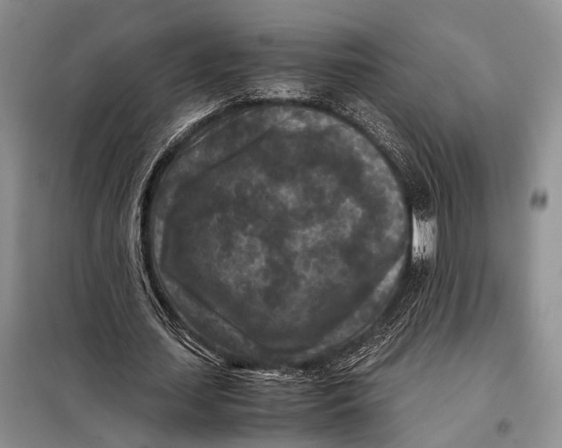 X0000098020627200804181203