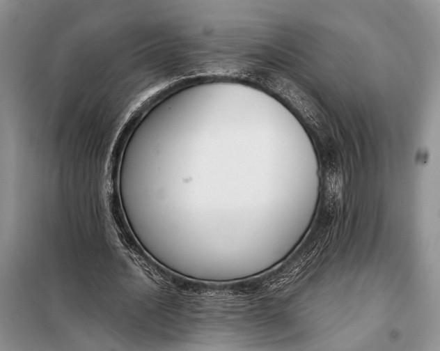 X0000098020628200804181203