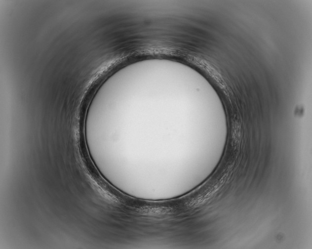 X0000098020629200804181203