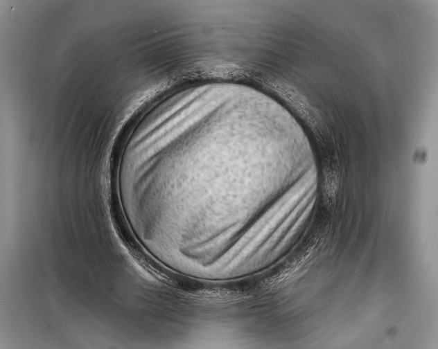 X0000098020630200804181203