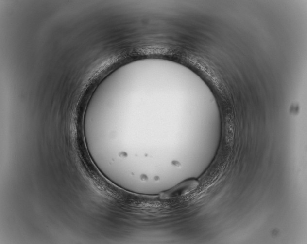 X0000098020631200804181203