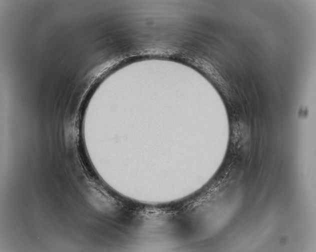 X0000098020632200804181203