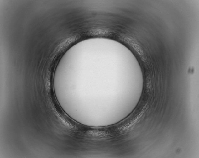 X0000098020633200804181203