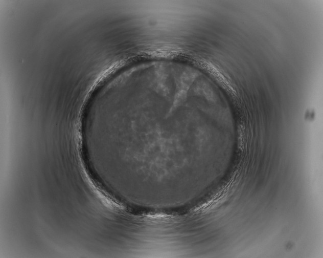 X0000098020634200804181203