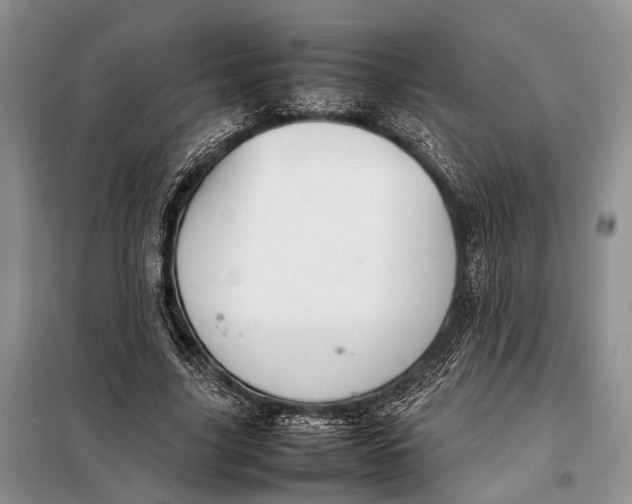 X0000098020635200804181203