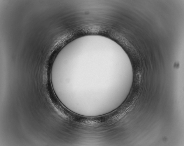 X0000098020638200804181203