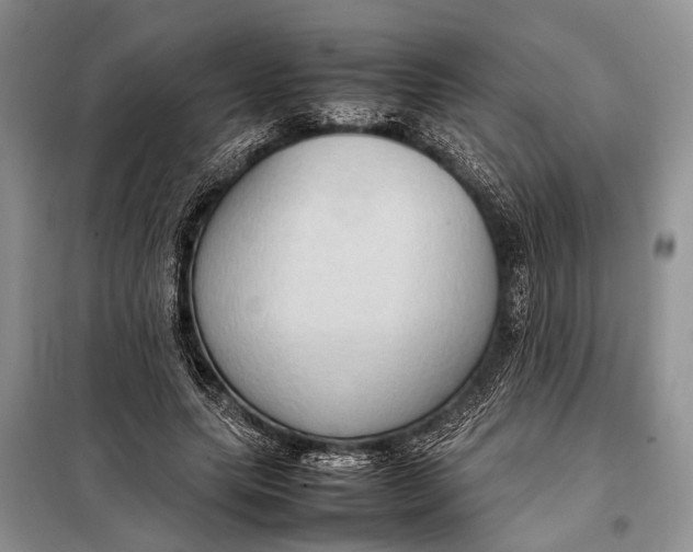 X0000098020639200804181203