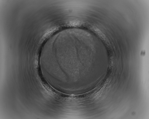 X0000098020640200804181203