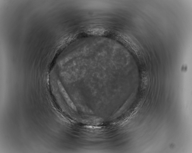 X0000098020641200804181203