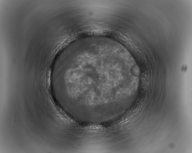 X0000098020642200804181203