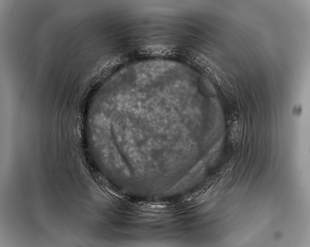 X0000098020643200804181203