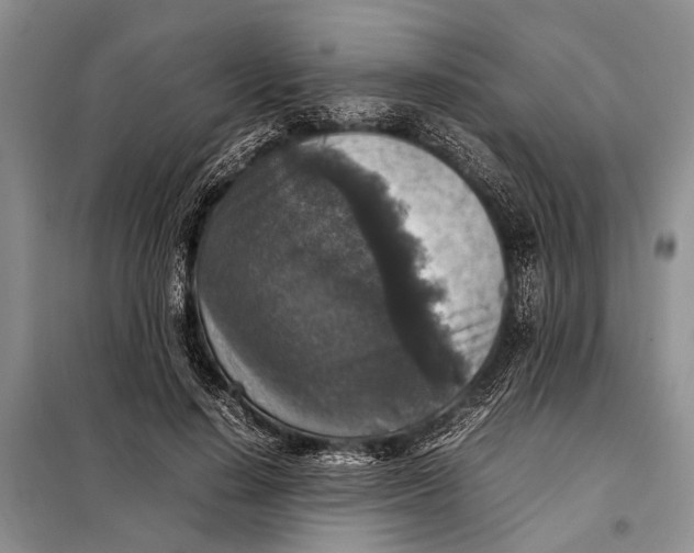 X0000098020644200804181203