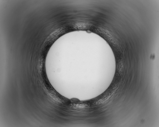 X0000098020645200804181203