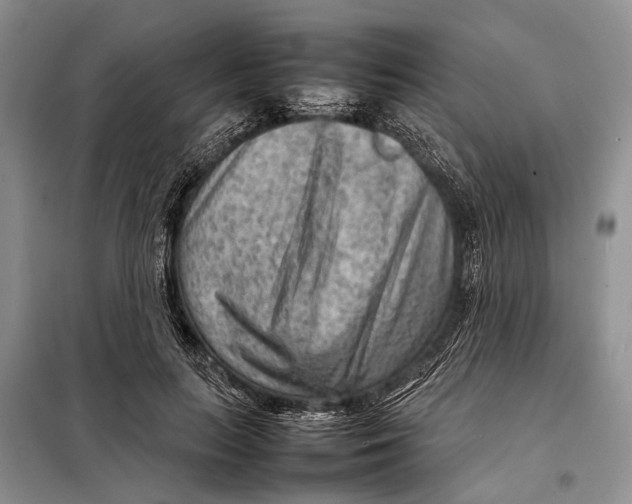 X0000098020647200804181203