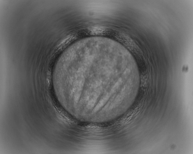 X0000098020648200804181203