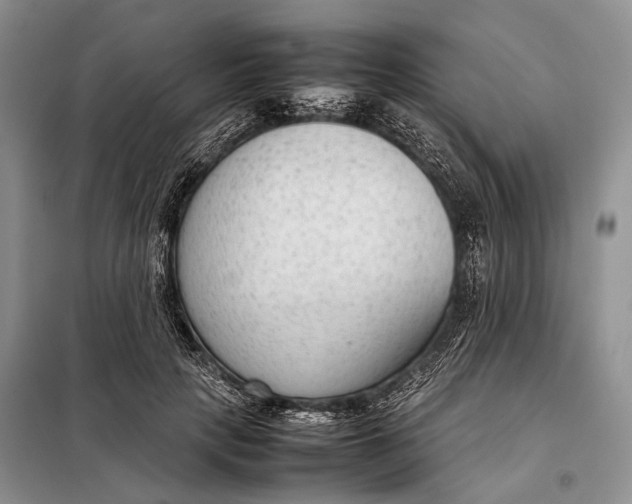 X0000098020649200804181203