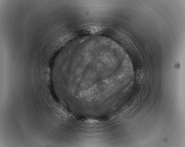 X0000098020650200804181203