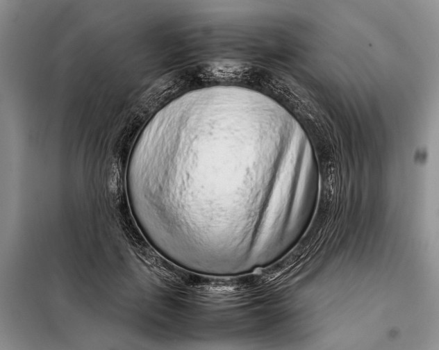 X0000098020651200804181203