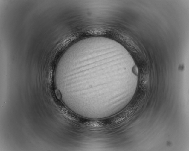 X0000098020652200804181203