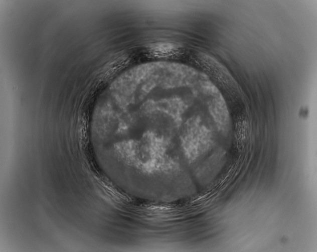X0000098020653200804181203