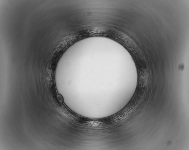 X0000098020654200804181203