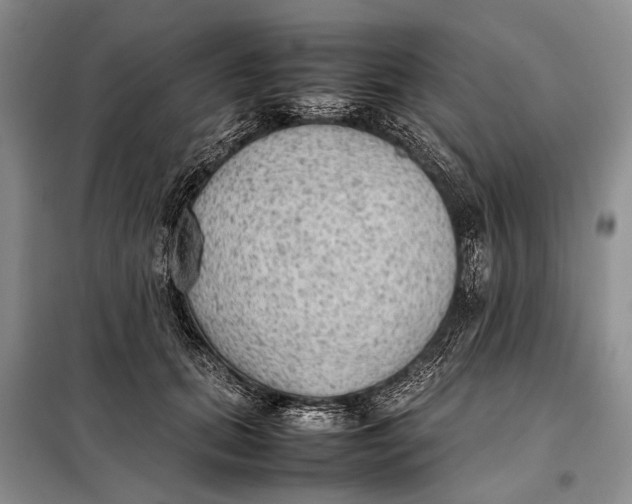 X0000098020655200804181203