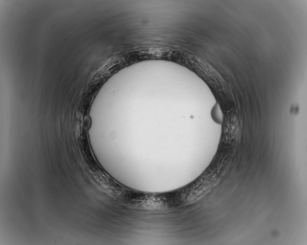 X0000098020656200804181203