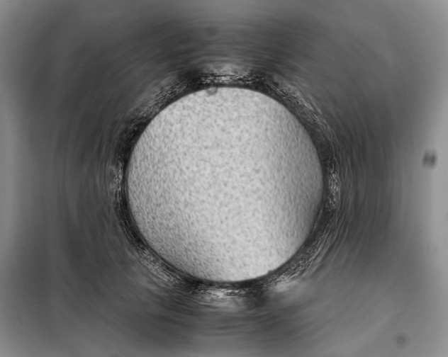 X0000098020657200804181203
