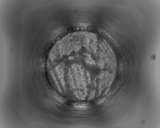 X0000098020661200804181204