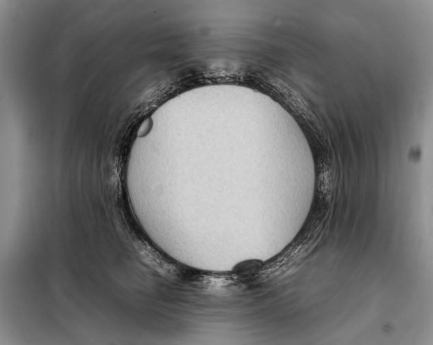 X0000098020662200804181204
