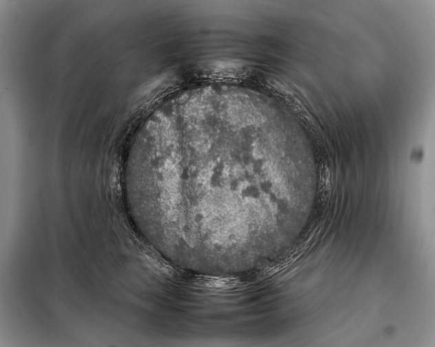 X0000098020663200804181204