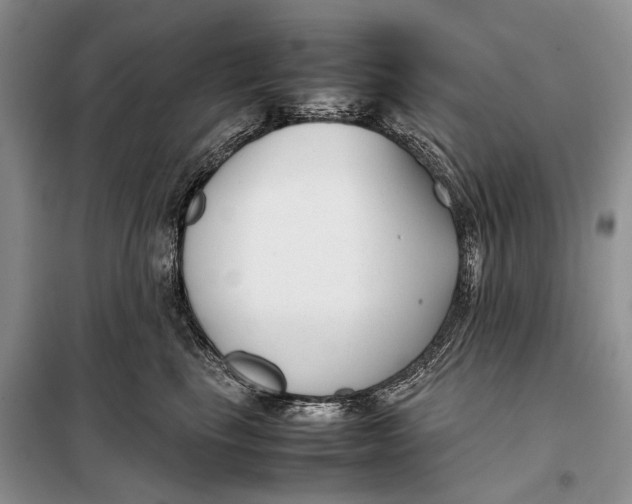 X0000098020665200804181204