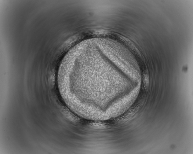 X0000098020668200804181204