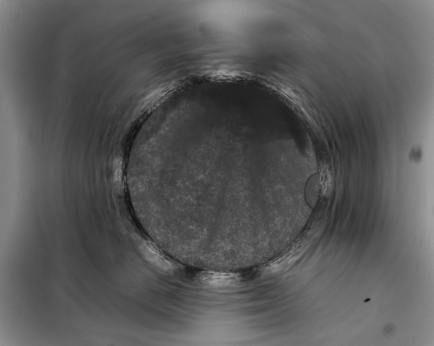 X0000098020670200804181204