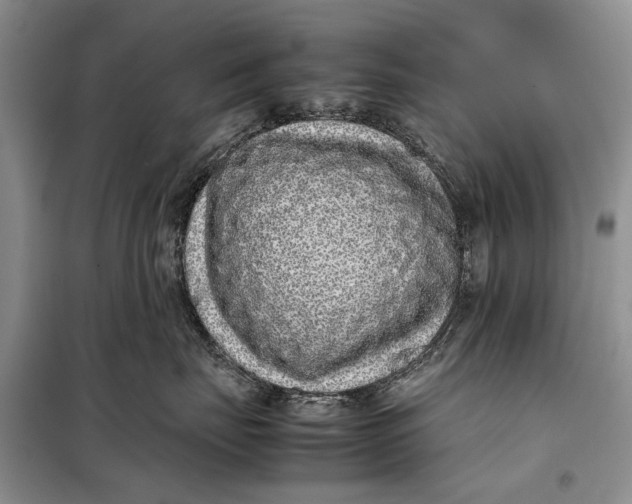 X0000098020671200804181204