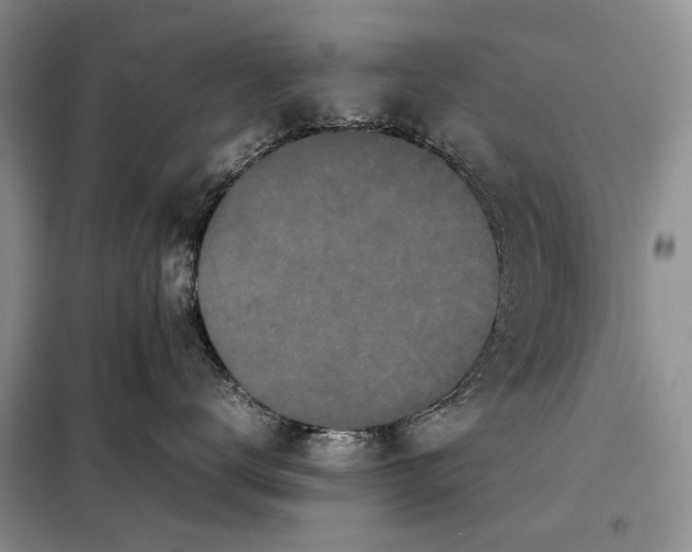X0000098020672200804181204