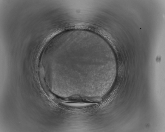 X0000098020673200804181203