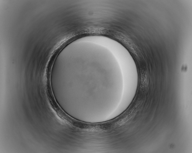 X0000098020674200804181203